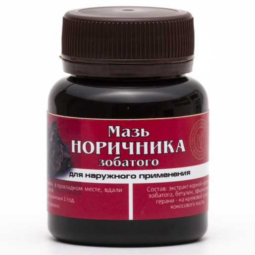МАЗЬ  «НОРИЧНИКА»