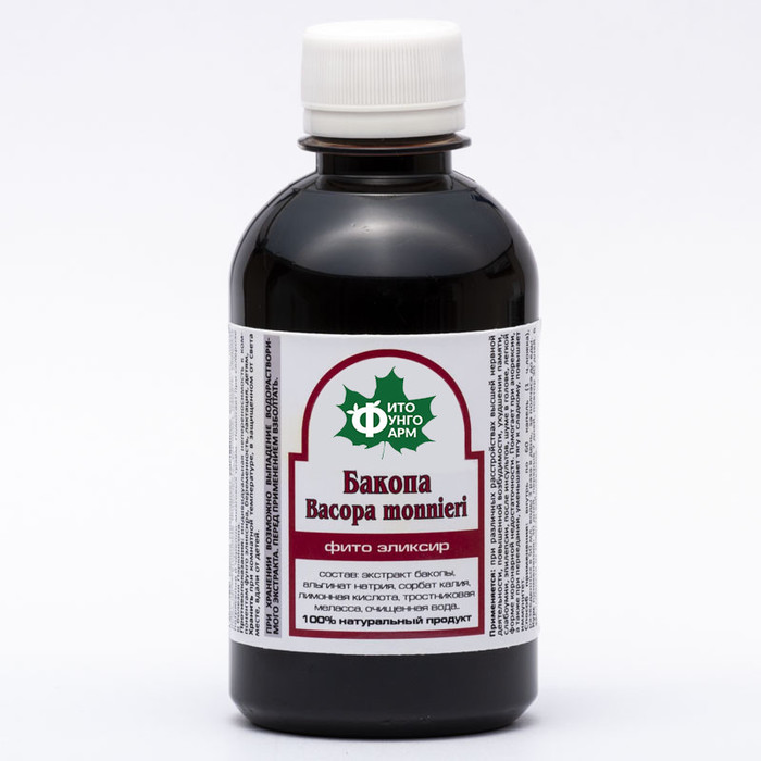 ШУМ В ГОЛОВЕ