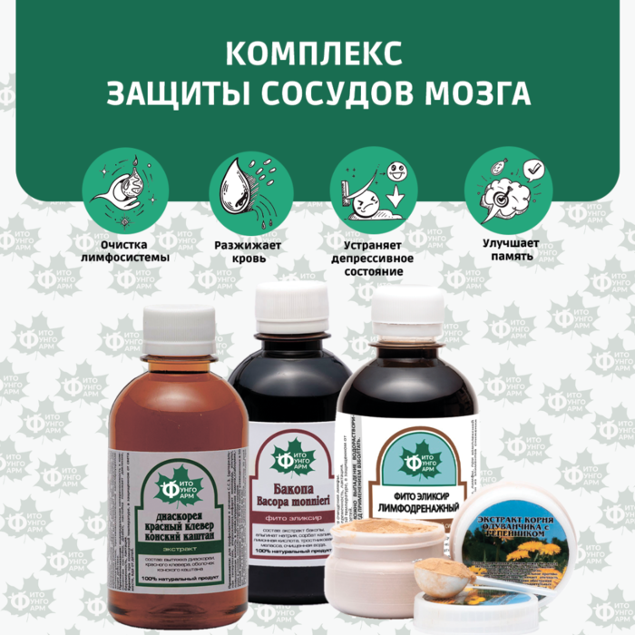 №13 Комплекс защиты сосудов мозга