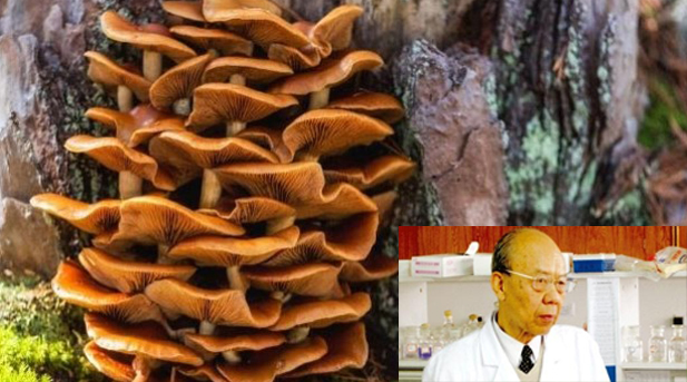 C:\Users\днс\OneDrive\Рабочий стол\Доктор6.png