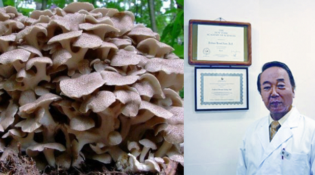 C:\Users\днс\OneDrive\Рабочий стол\ПРОФЕССОР 11.png