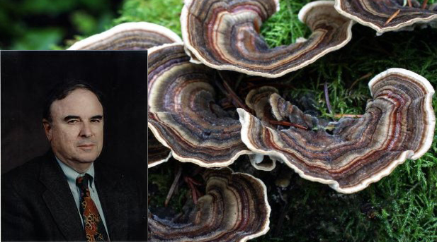 C:\Users\днс\OneDrive\Рабочий стол\Доктор10.png