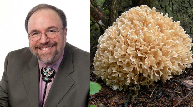 C:\Users\днс\OneDrive\Рабочий стол\ДОКТОР 2.jpg