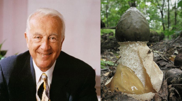 C:\Users\днс\OneDrive\Рабочий стол\Доктор5.jpg