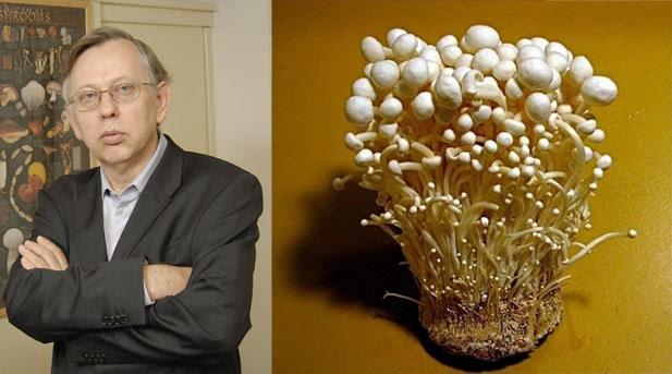 C:\Users\днс\OneDrive\Рабочий стол\Доктор 7.jpg